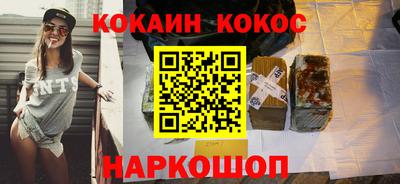 индика Можга
