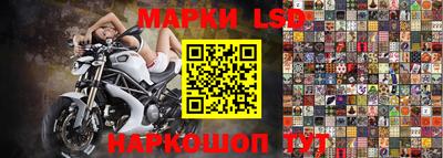 индика Можга