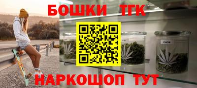 индика Можга