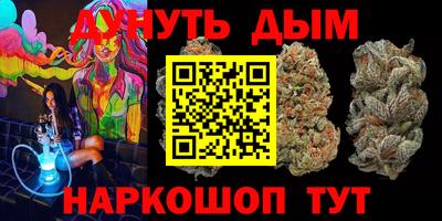 индика Можга
