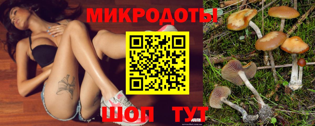 Псилоцибиновые грибы прущие грибы Усолье-Сибирское